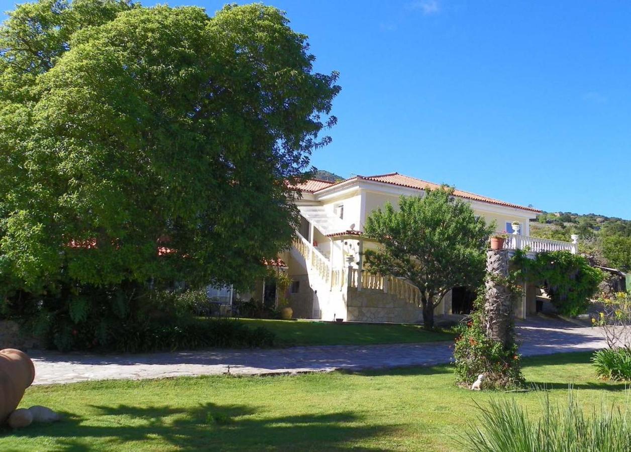 Apartamento Casa-Palo-Pique Icod De Los Vinos Exterior foto